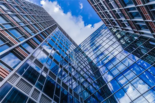 东瓜去哪里旅游